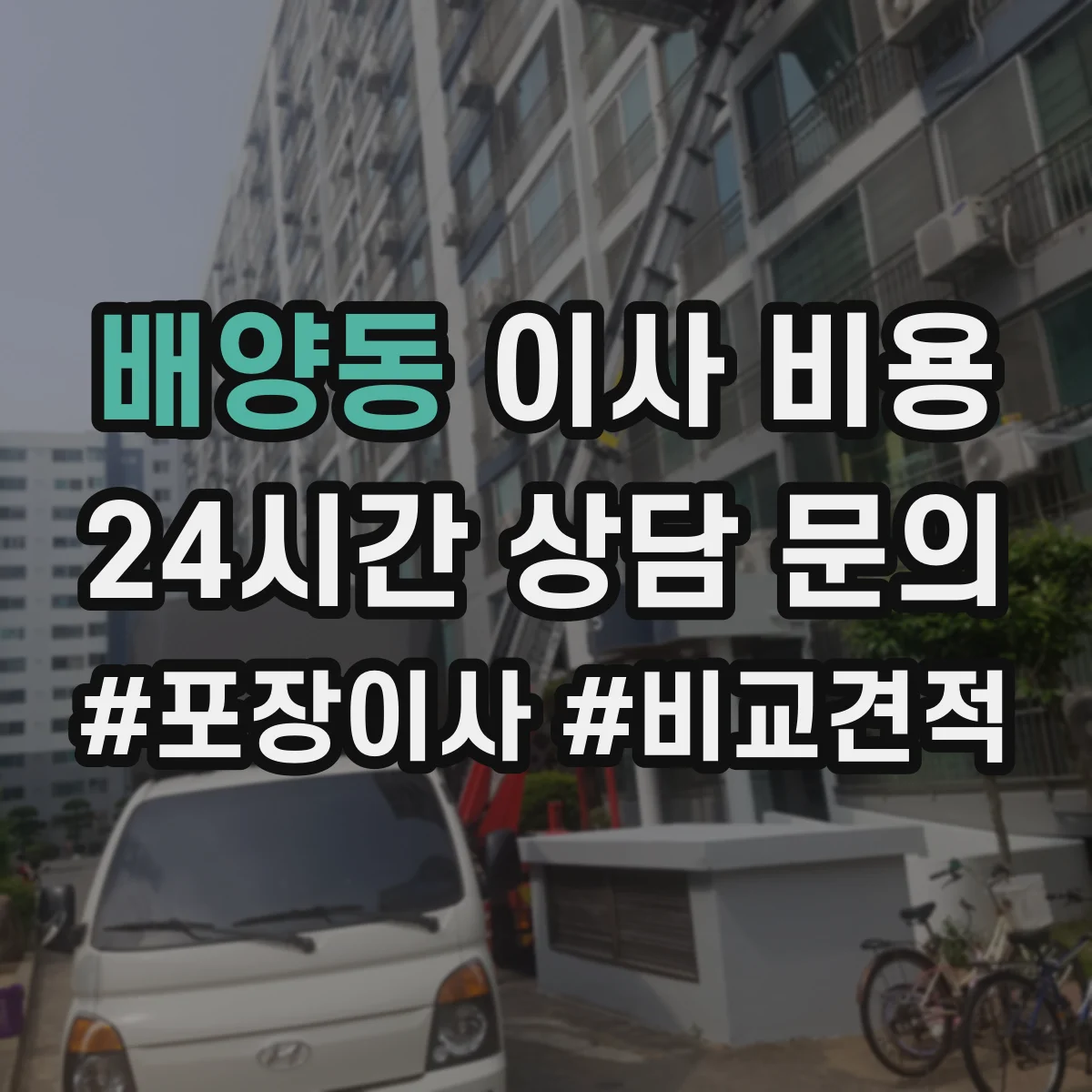 배양동 이사 비용