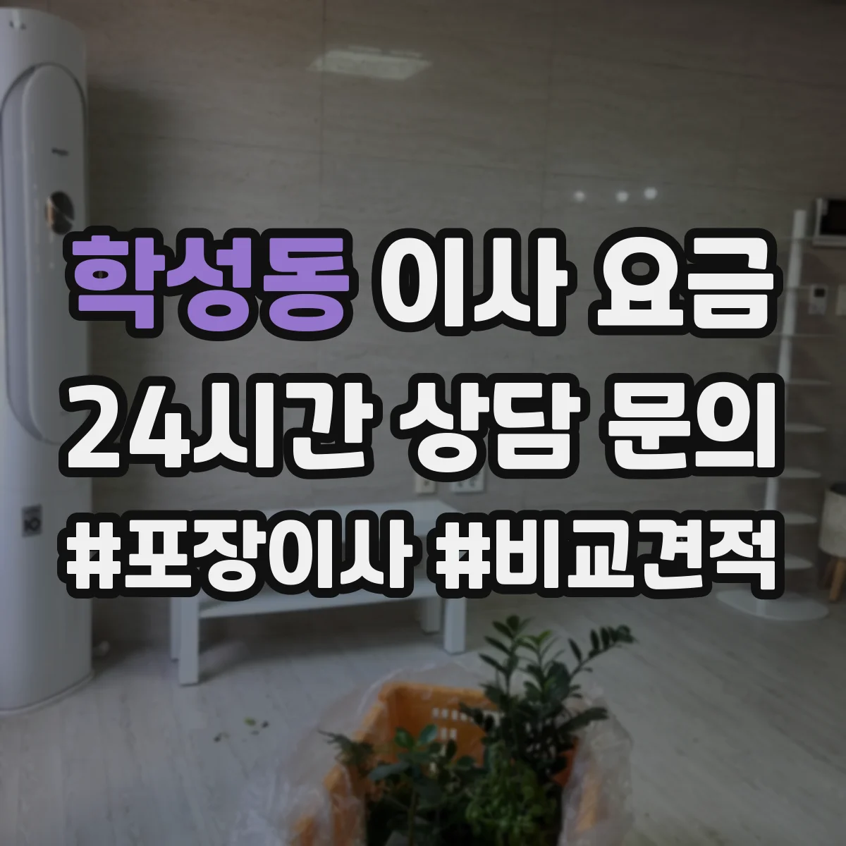 학성동 이사 요금