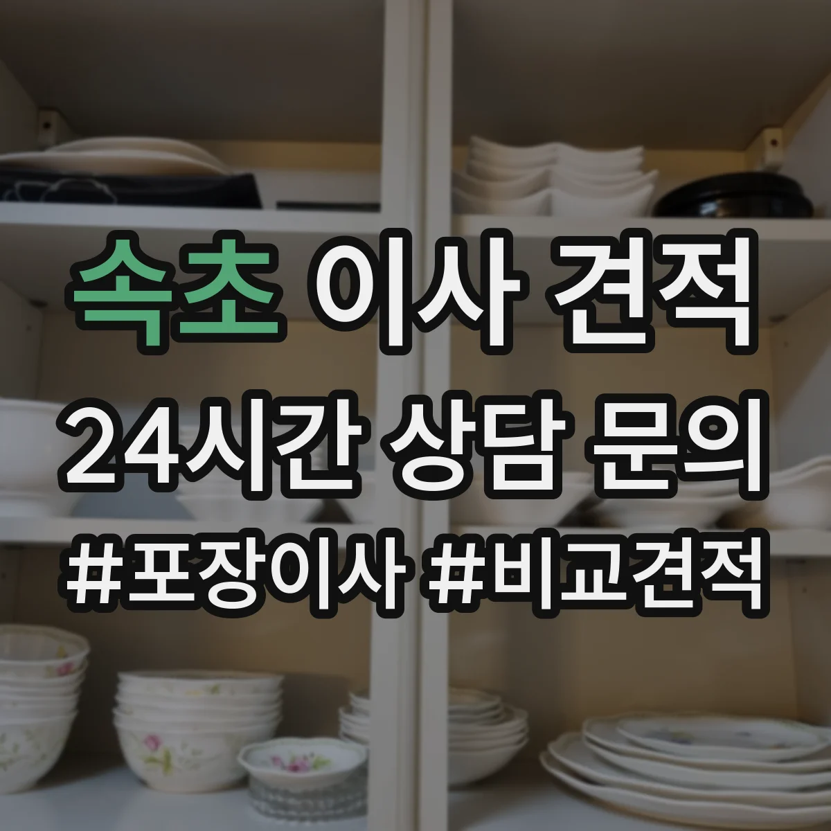 속초 이사 견적