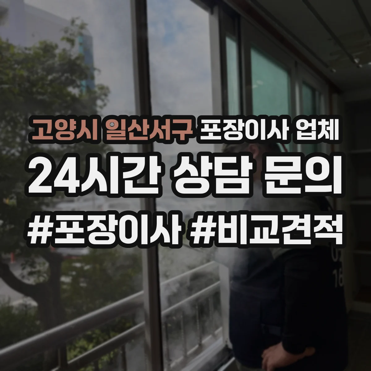 고양시 일산서구 포장이사 업체