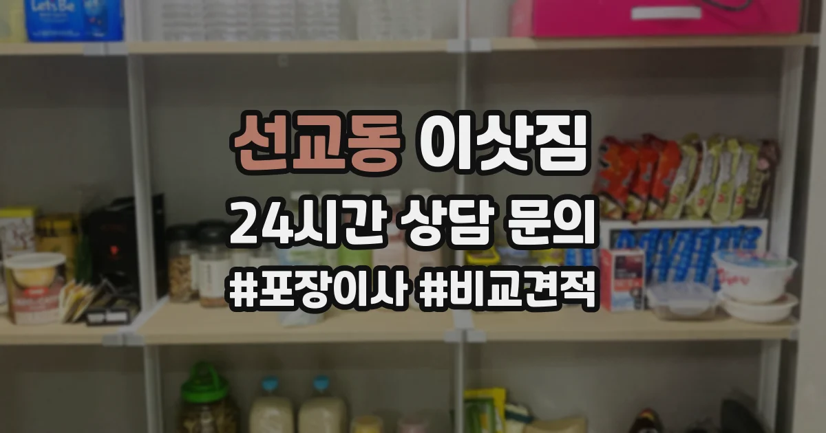 선교동 이삿짐