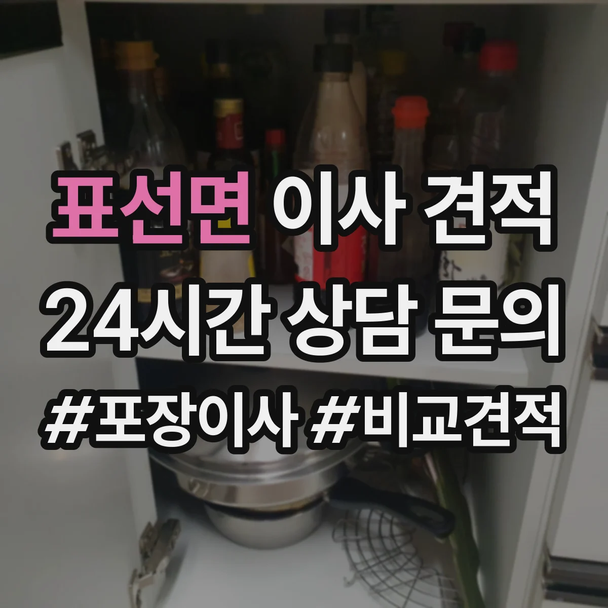 표선면 이사 견적