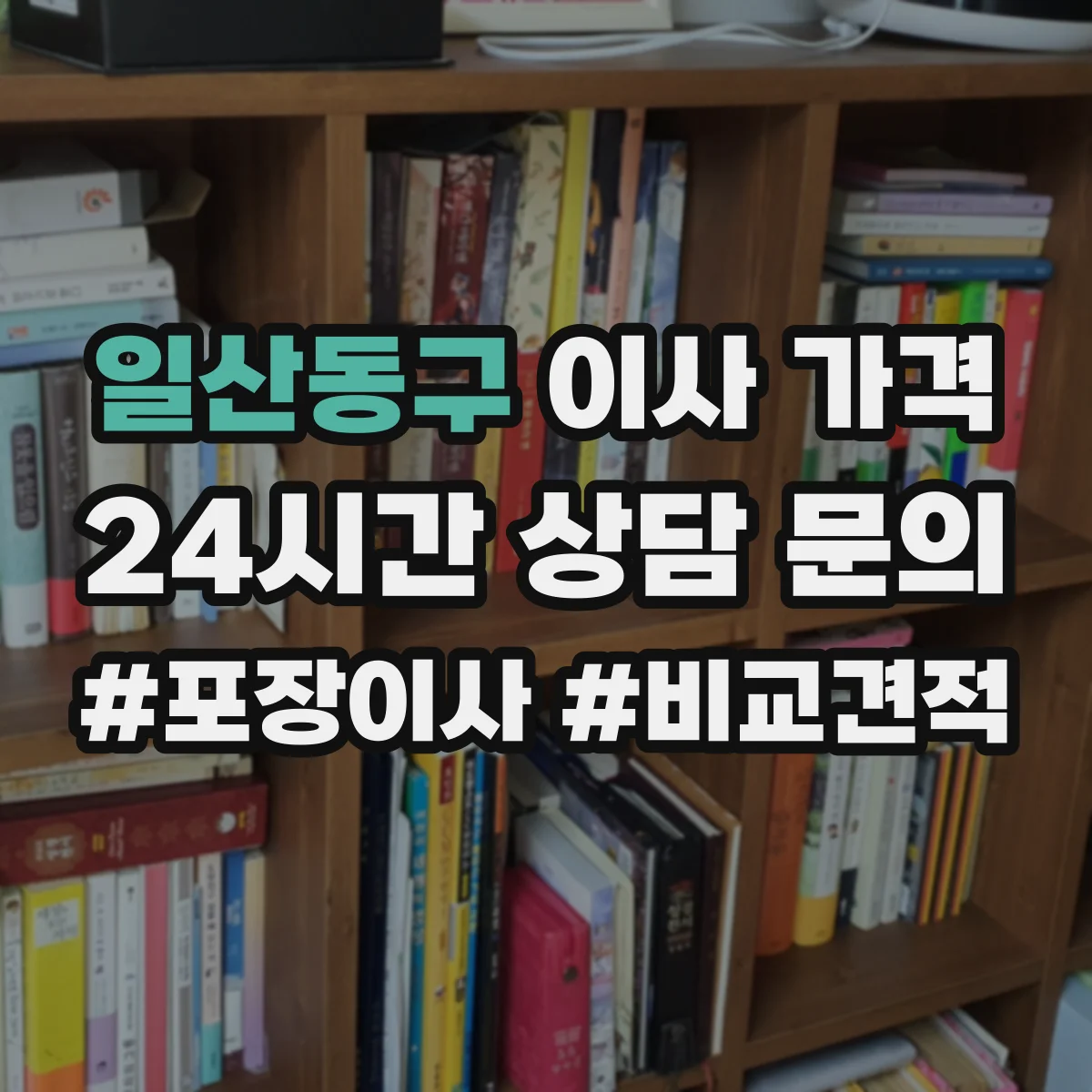 일산동구 이사 가격
