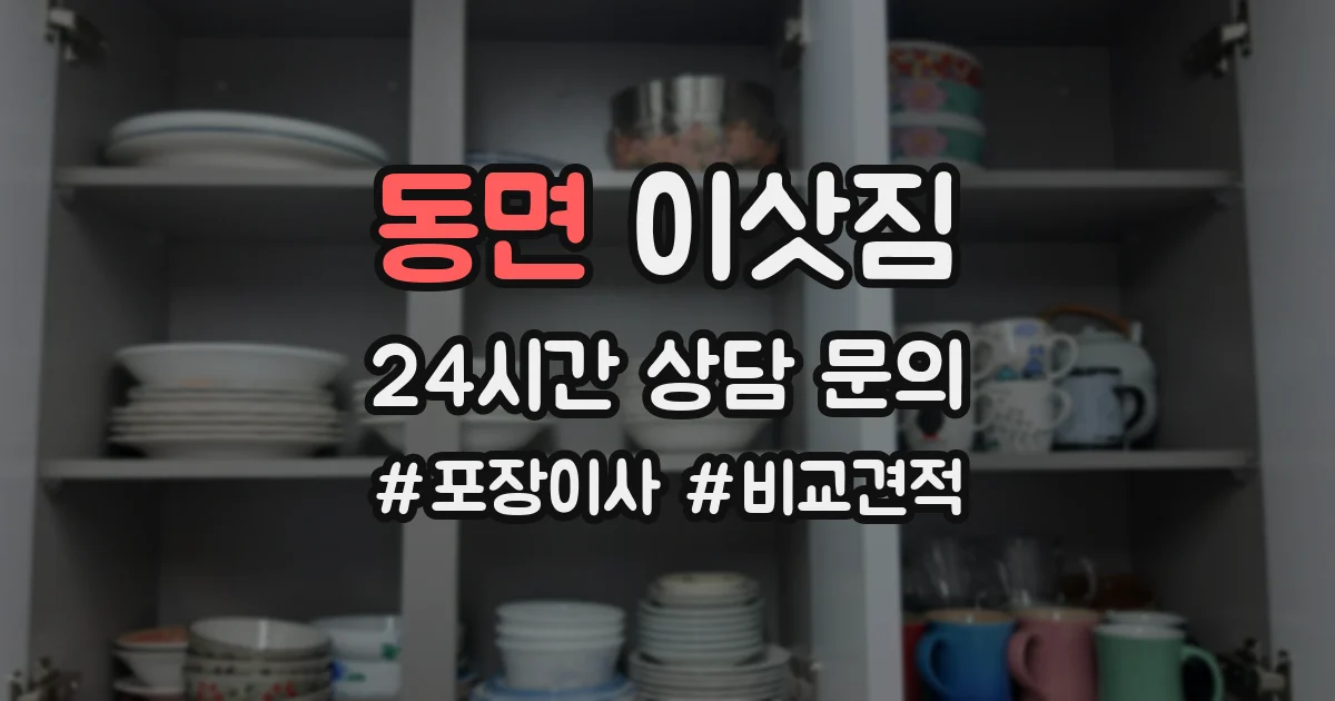 동면 이삿짐