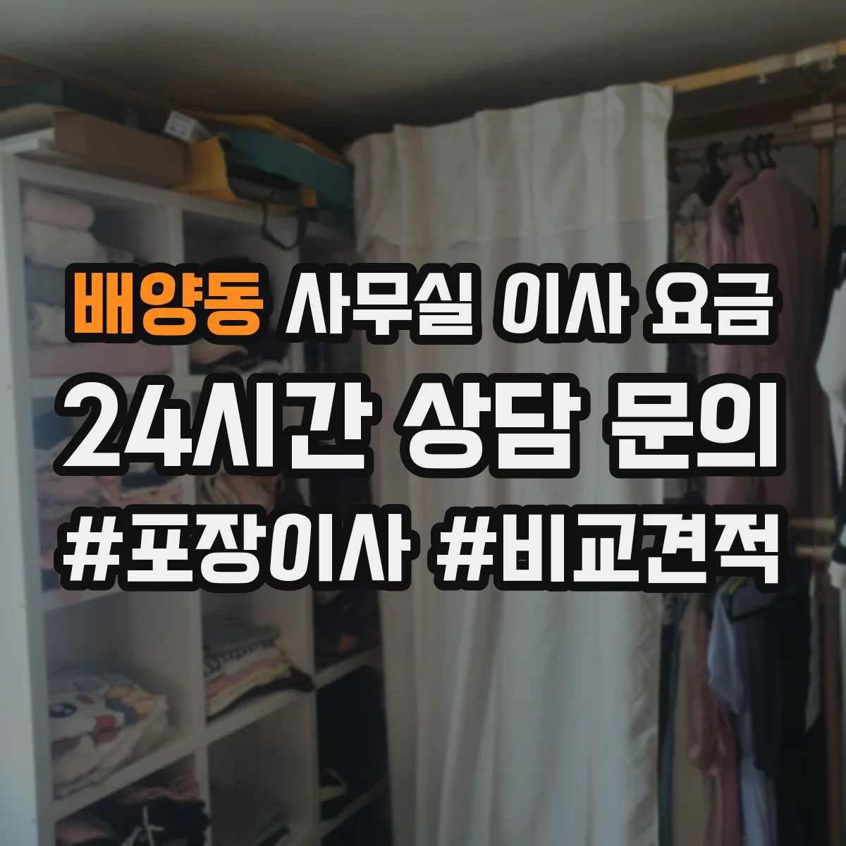 배양동 사무실 이사 요금