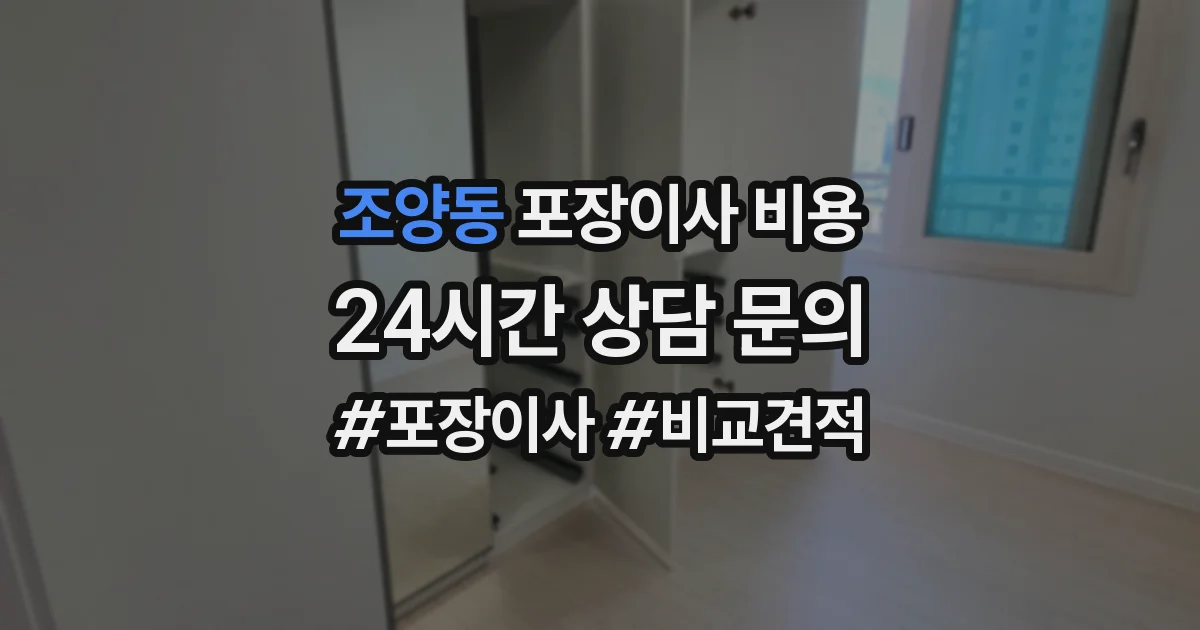 조양동 포장이사 비용