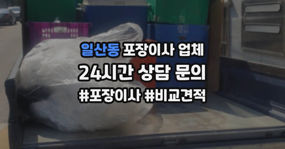 일산동 포장이사 업체