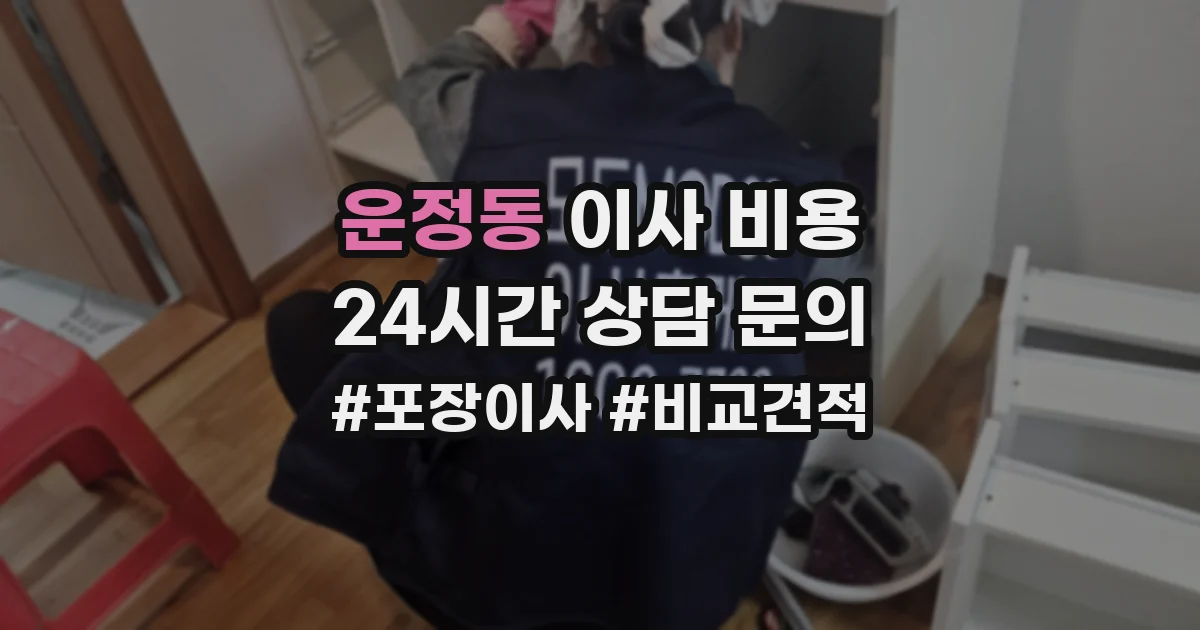운정동 이사 비용
