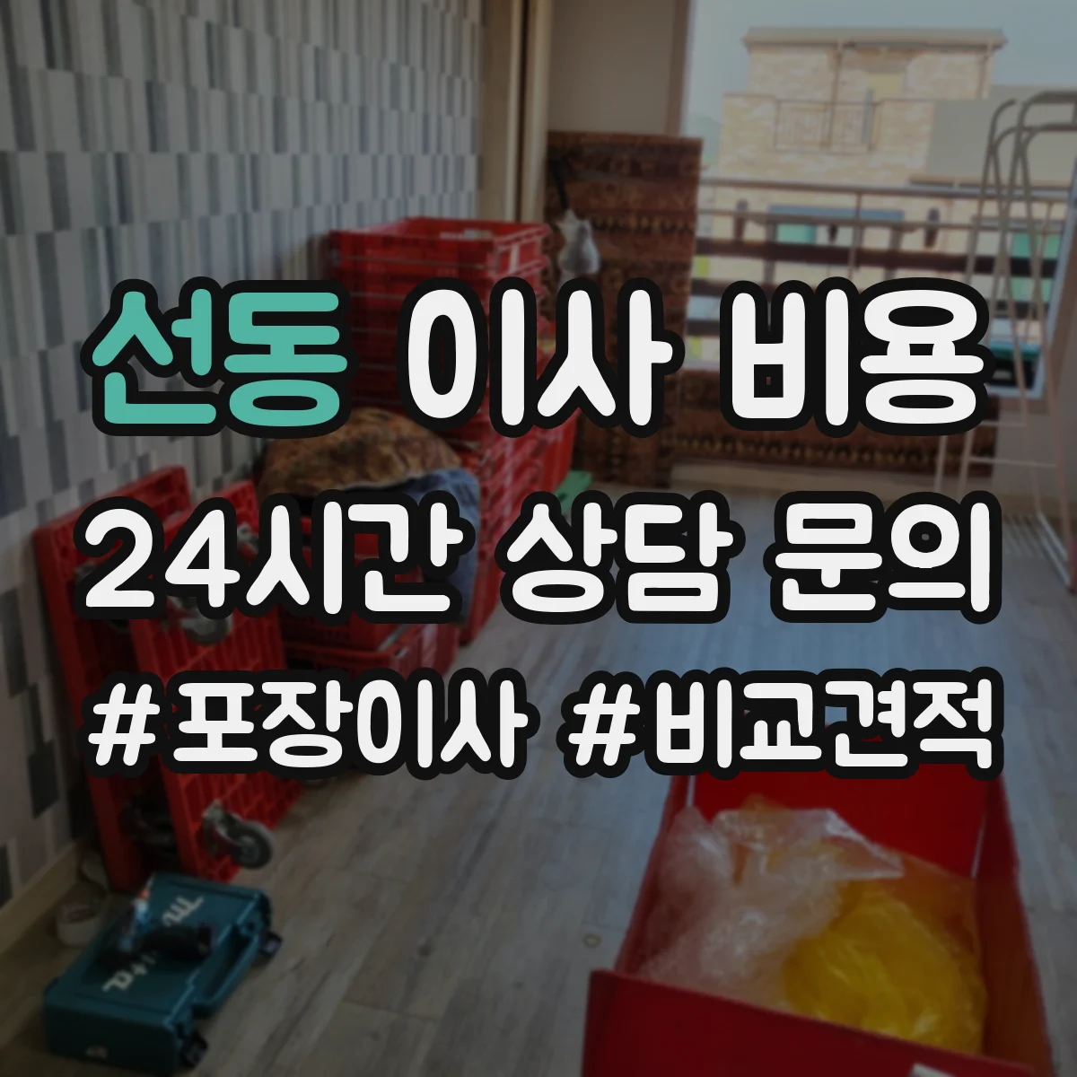 선동 이사 비용