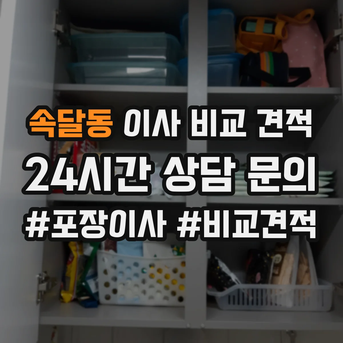 속달동 이사 비교 견적
