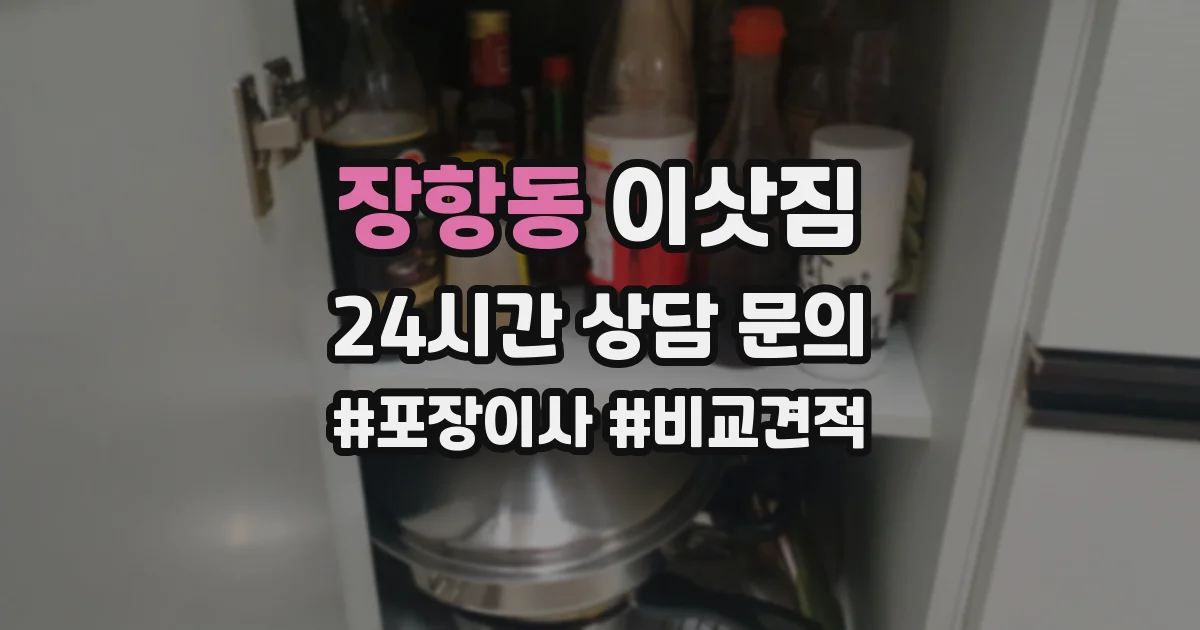 장항동 이삿짐