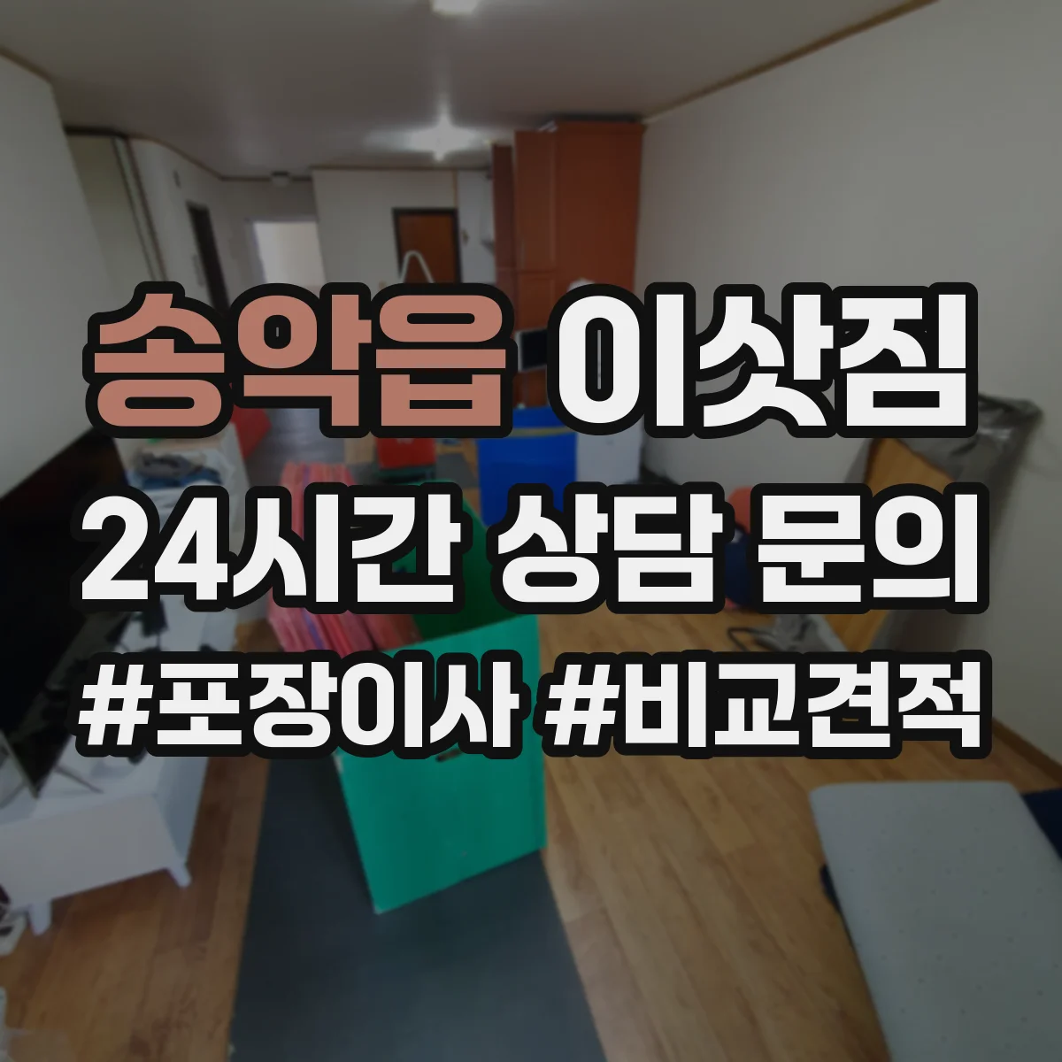 송악읍 이삿짐