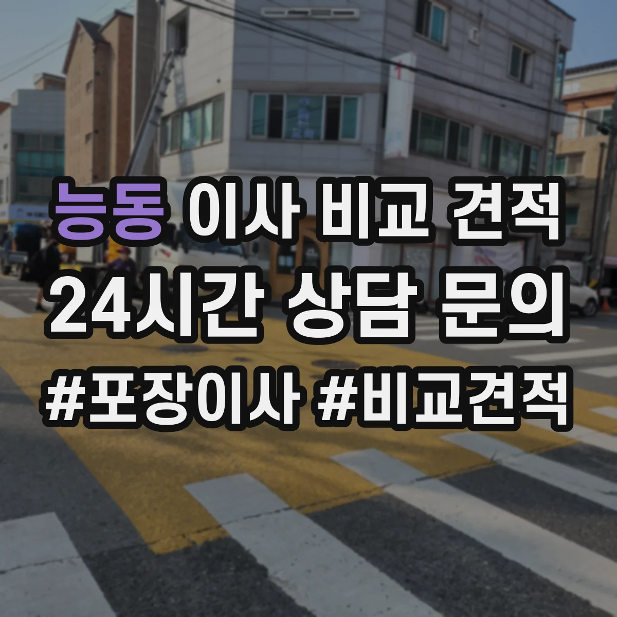능동 이사 비교 견적