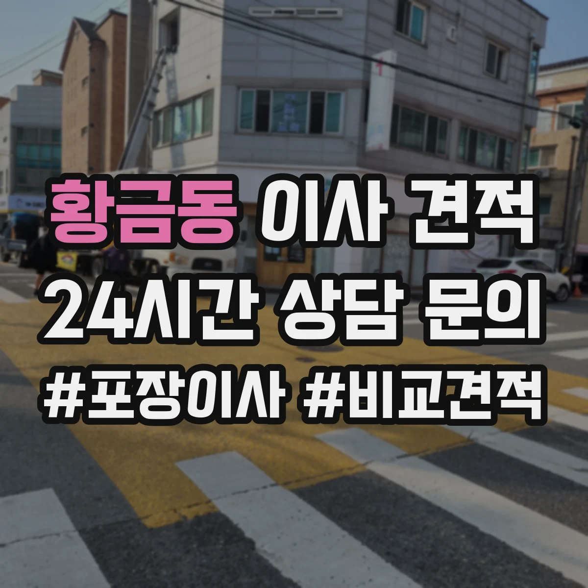 황금동 이사 견적