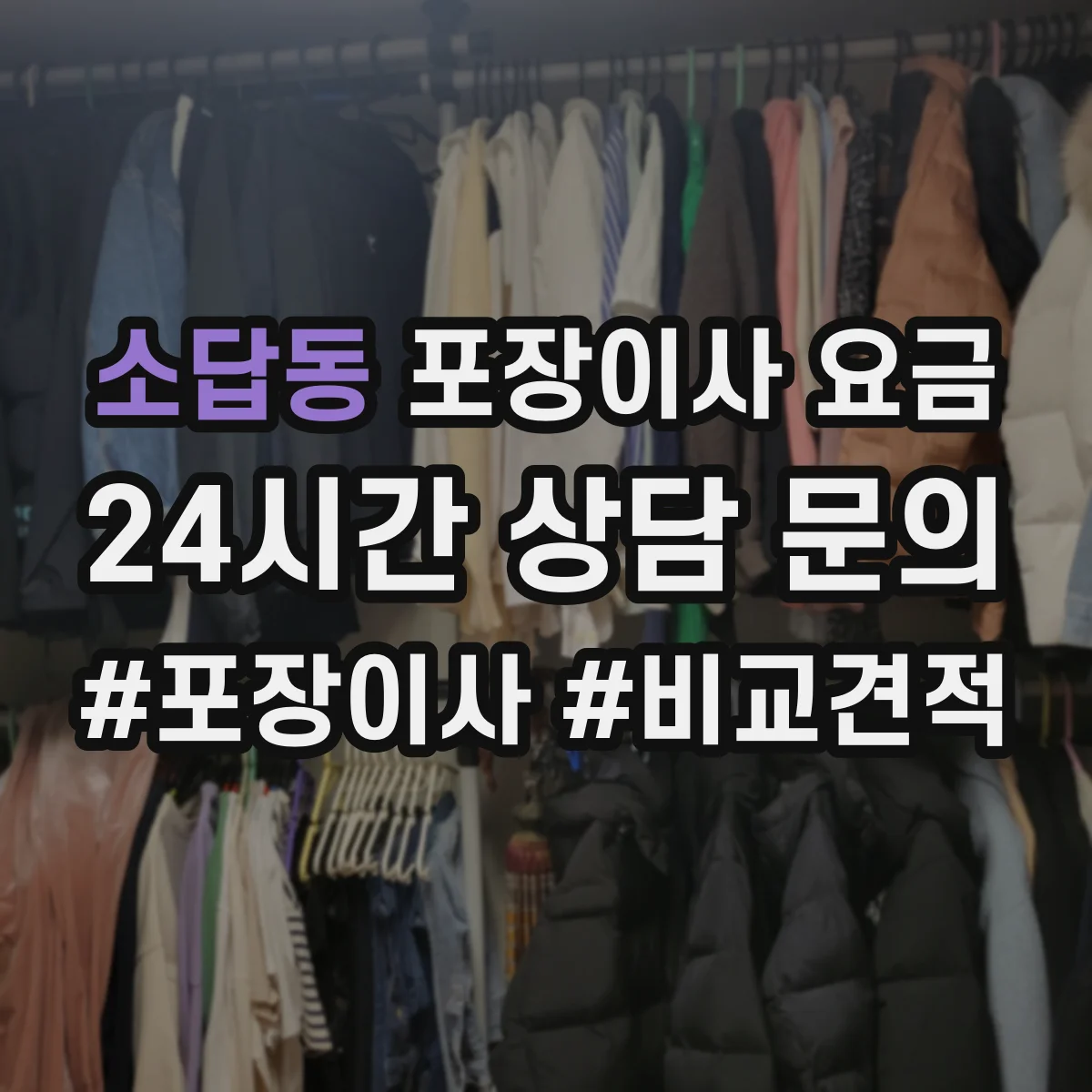 소답동 포장이사 요금