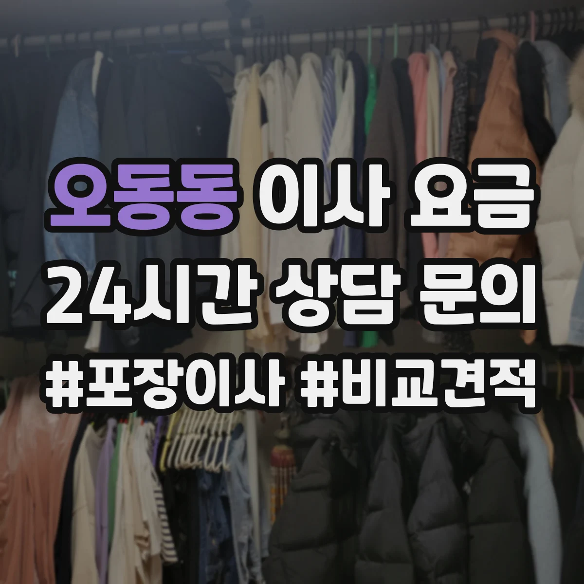 오동동 이사 요금