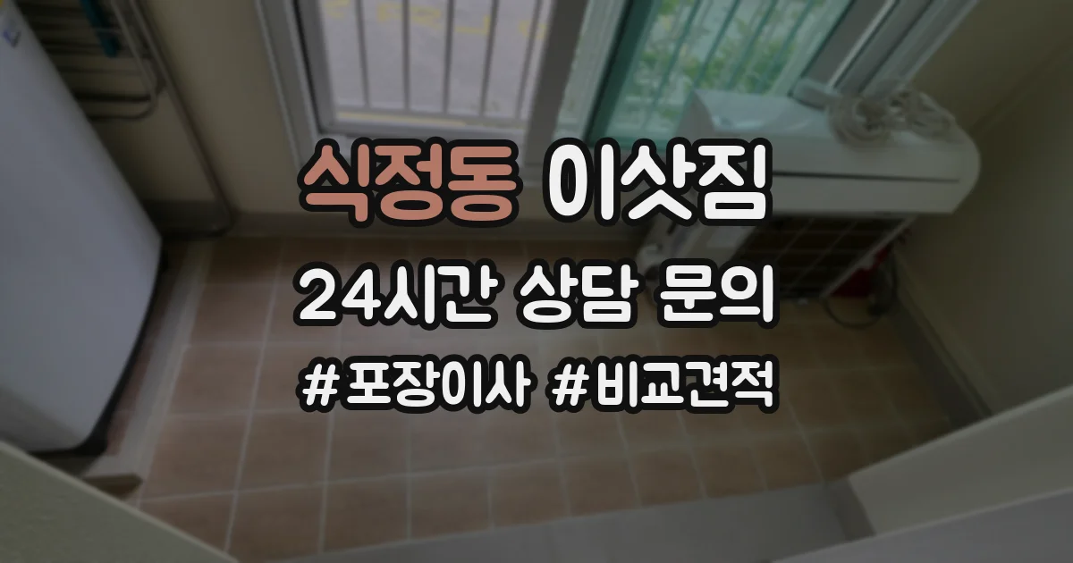 식정동 이삿짐