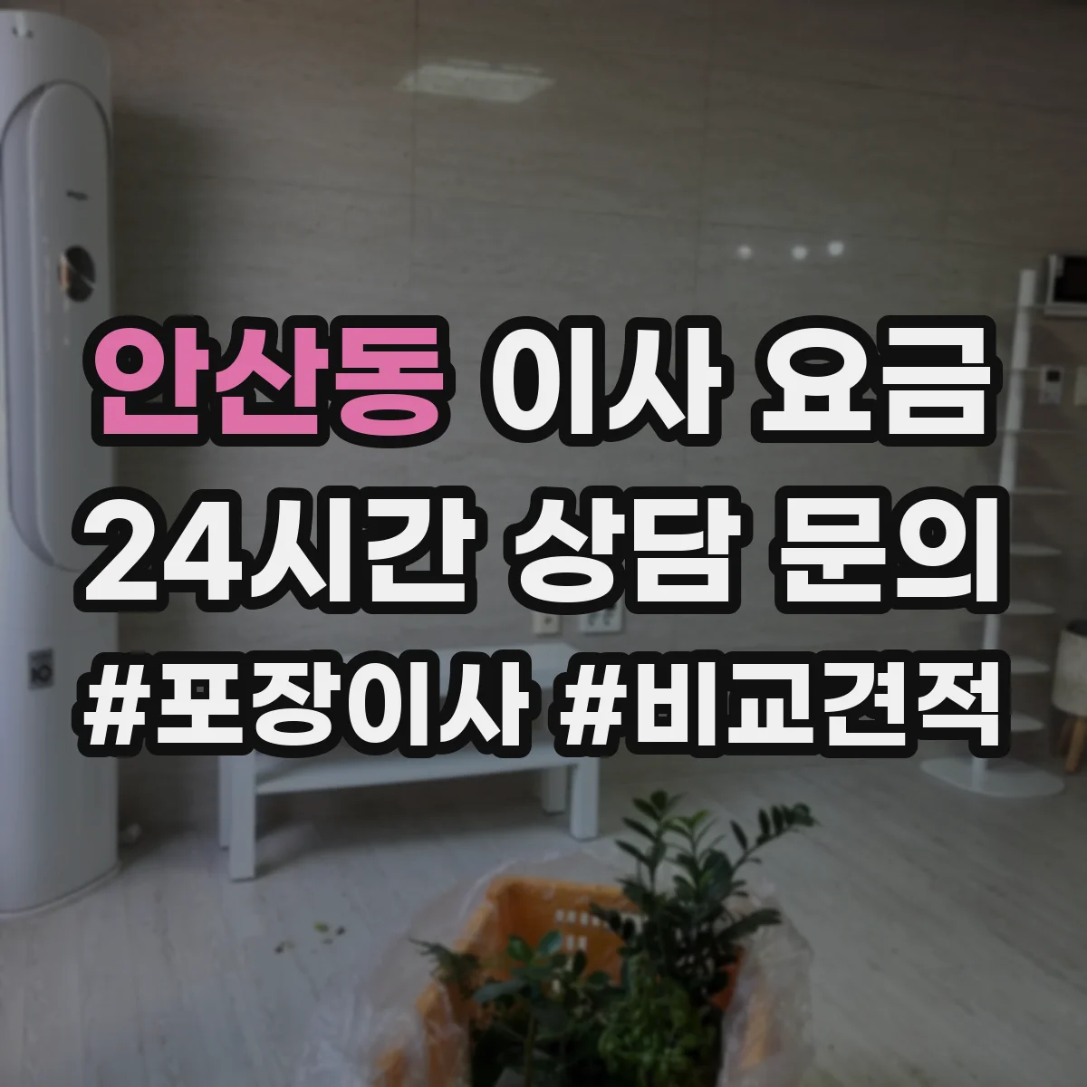 안산동 이사 요금