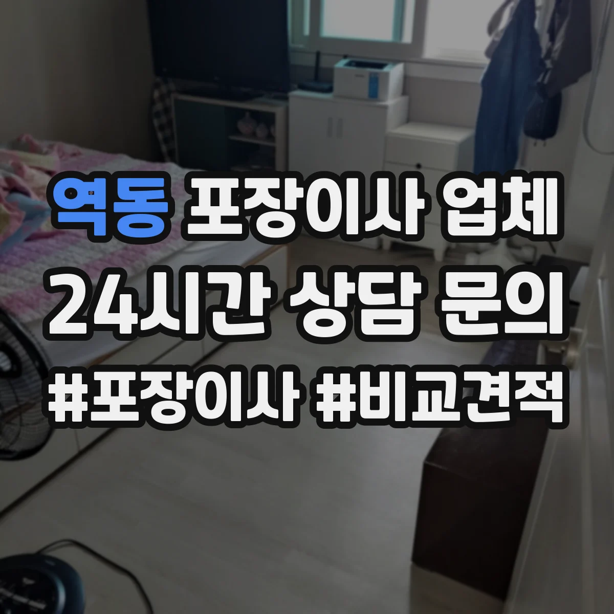역동 포장이사 업체