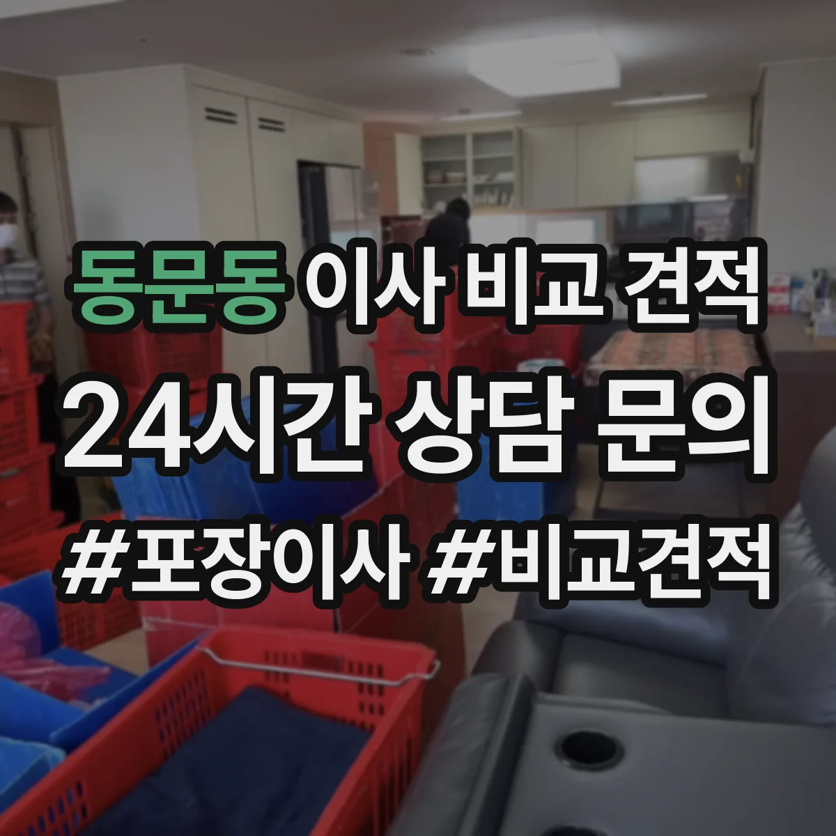 동문동 이사 비교 견적