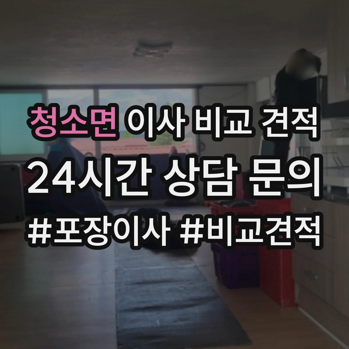 청소면 이사 비교 견적