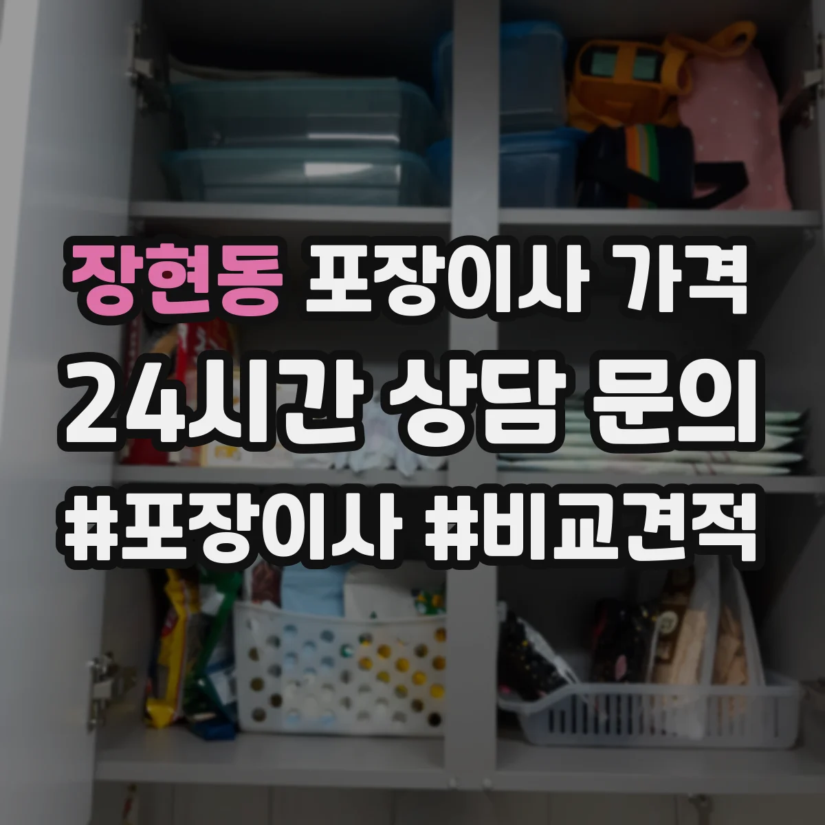 장현동 포장이사 가격