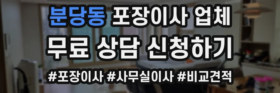 분당동 포장이사 업체