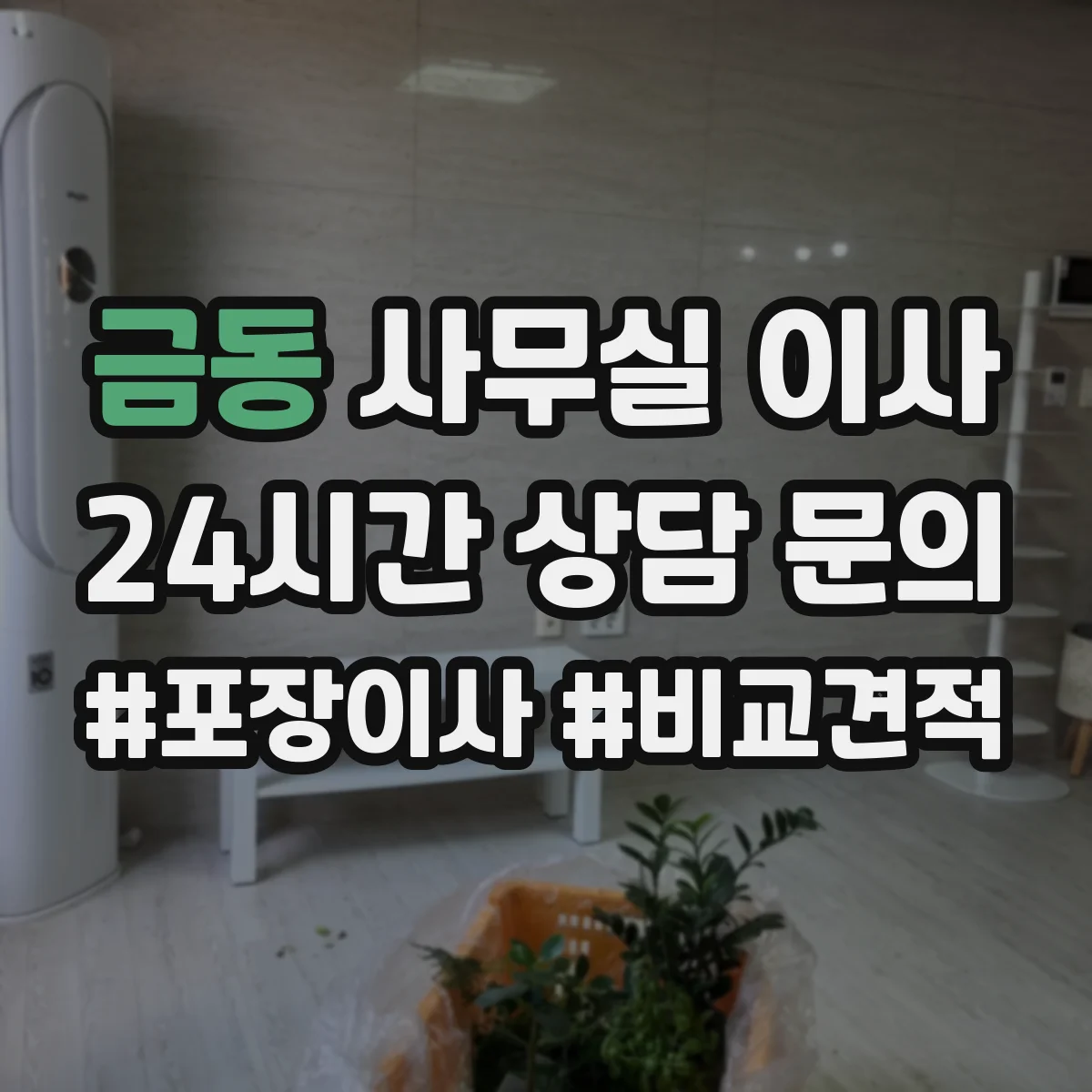금동 사무실 이사