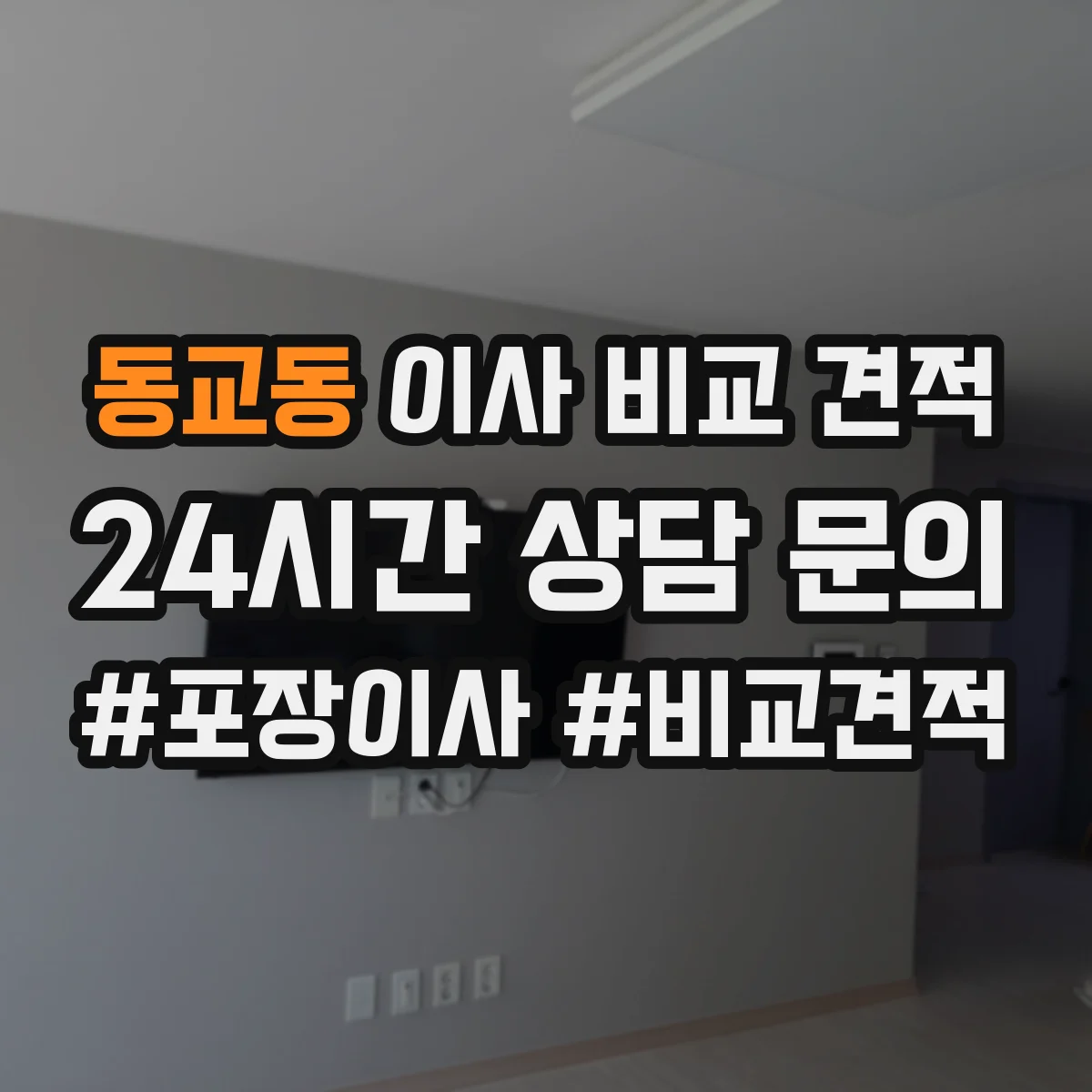 동교동 이사 비교 견적