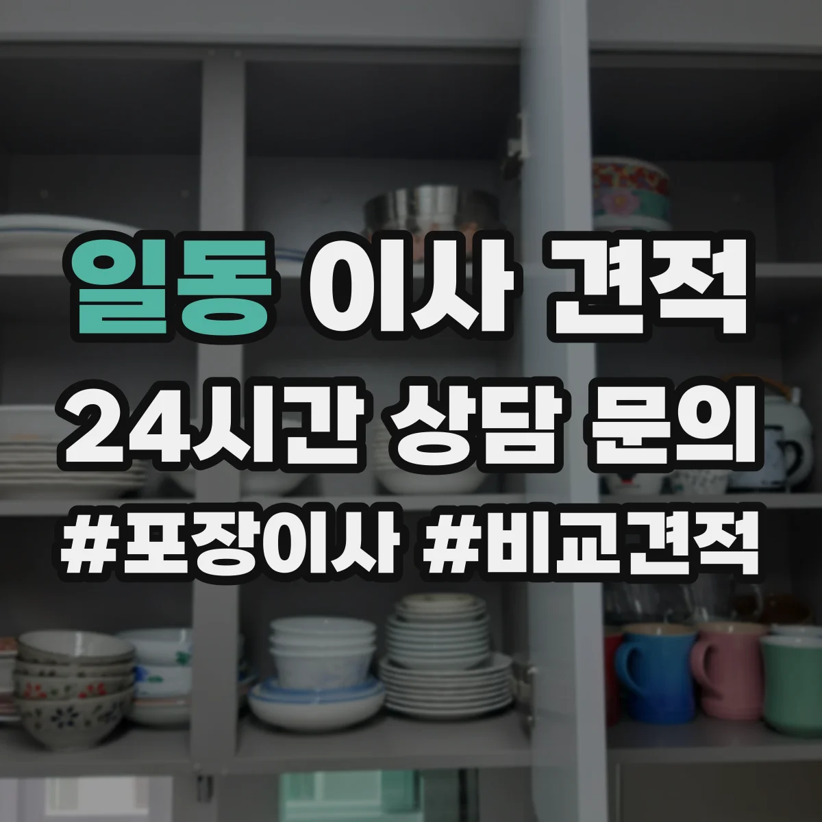 일동 이사 견적