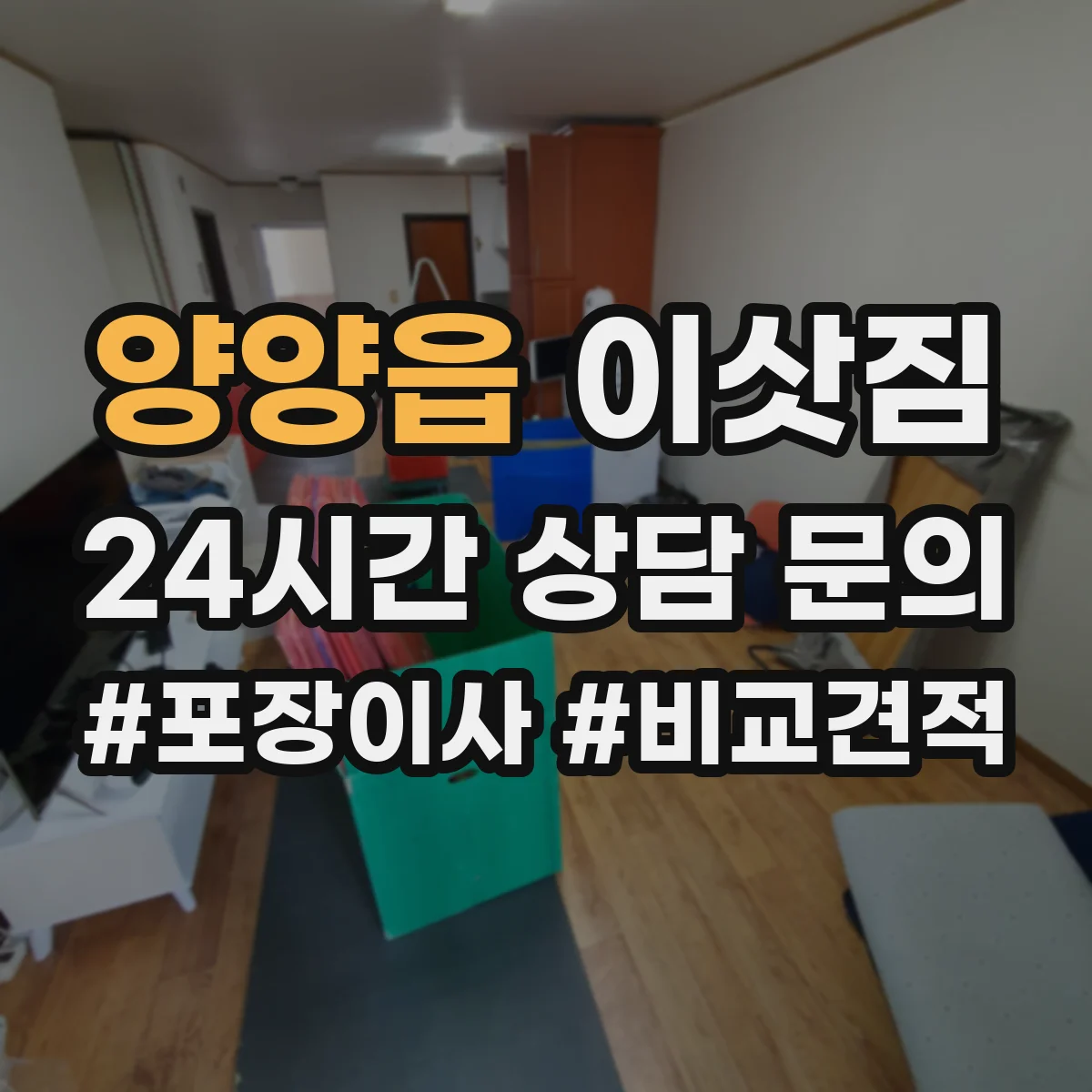 양양읍 이삿짐