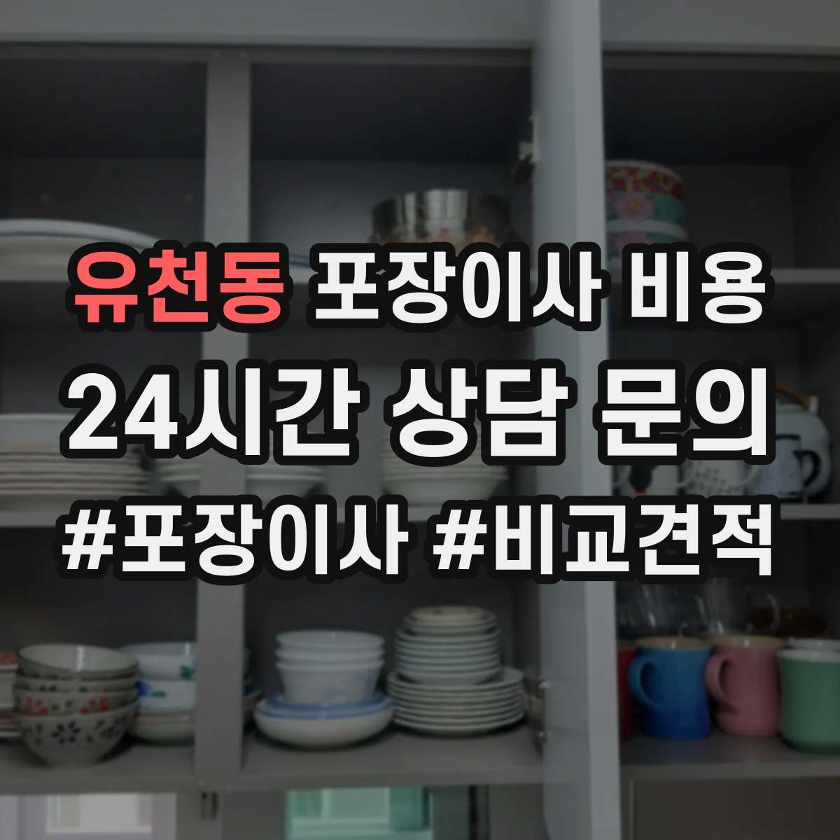 유천동 포장이사 비용