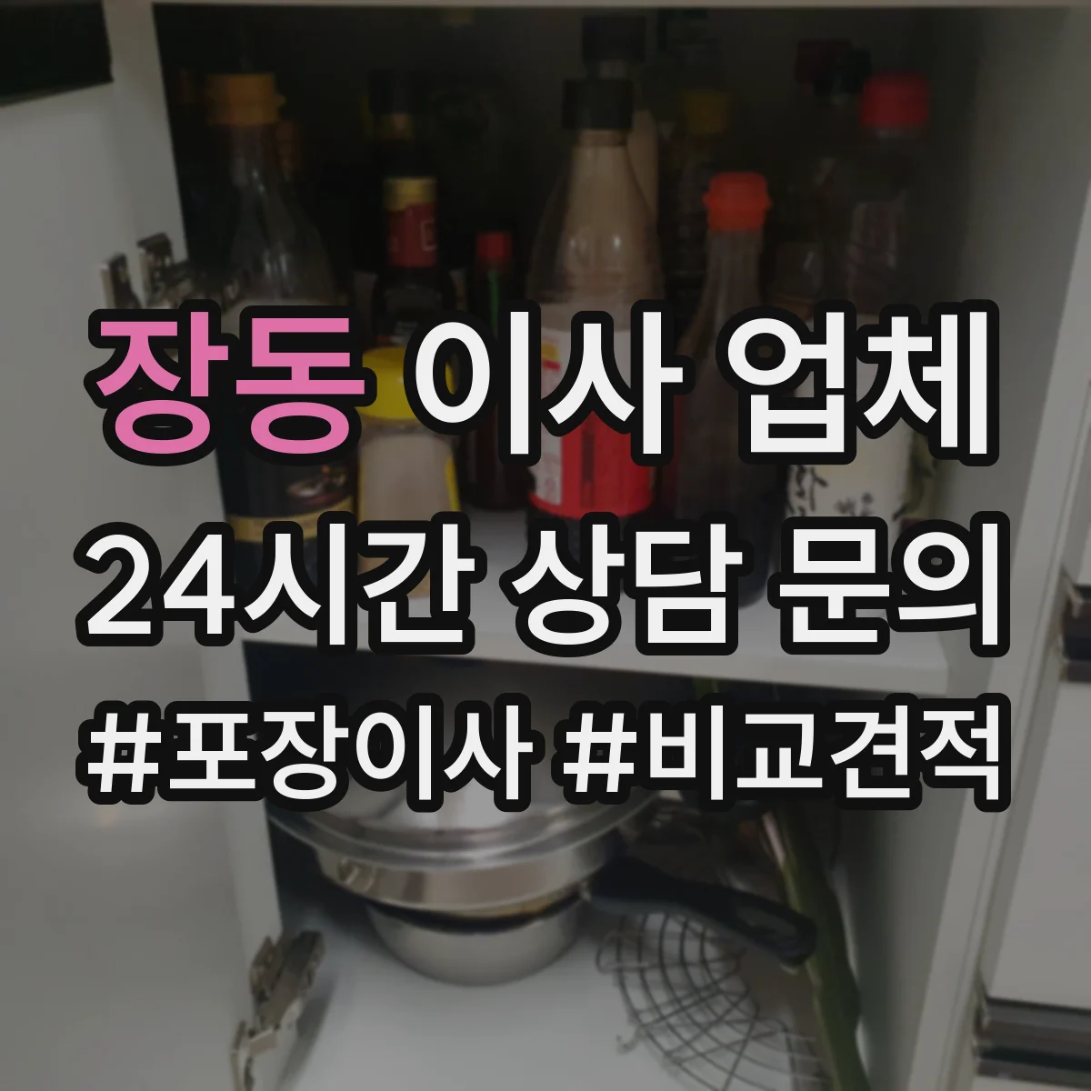 장동 이사 업체