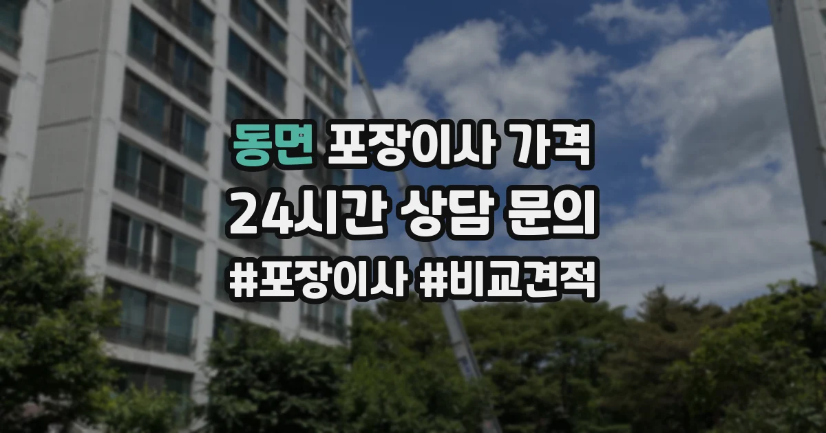 동면 포장이사 가격