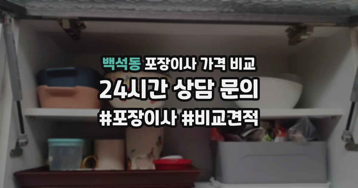 백석동 포장이사 가격 비교