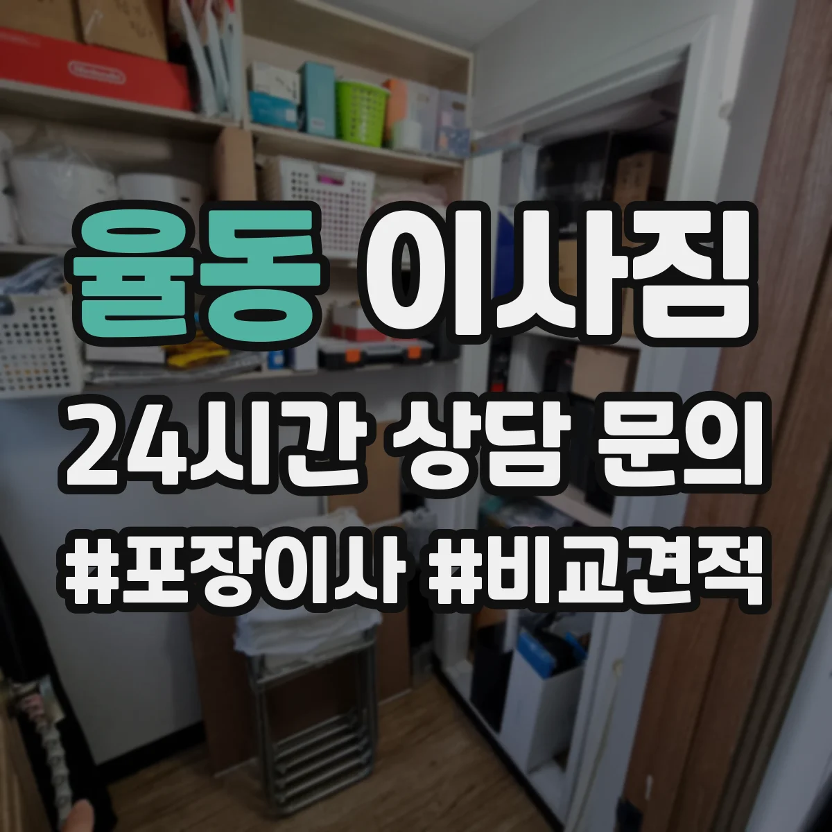 율동 이사짐