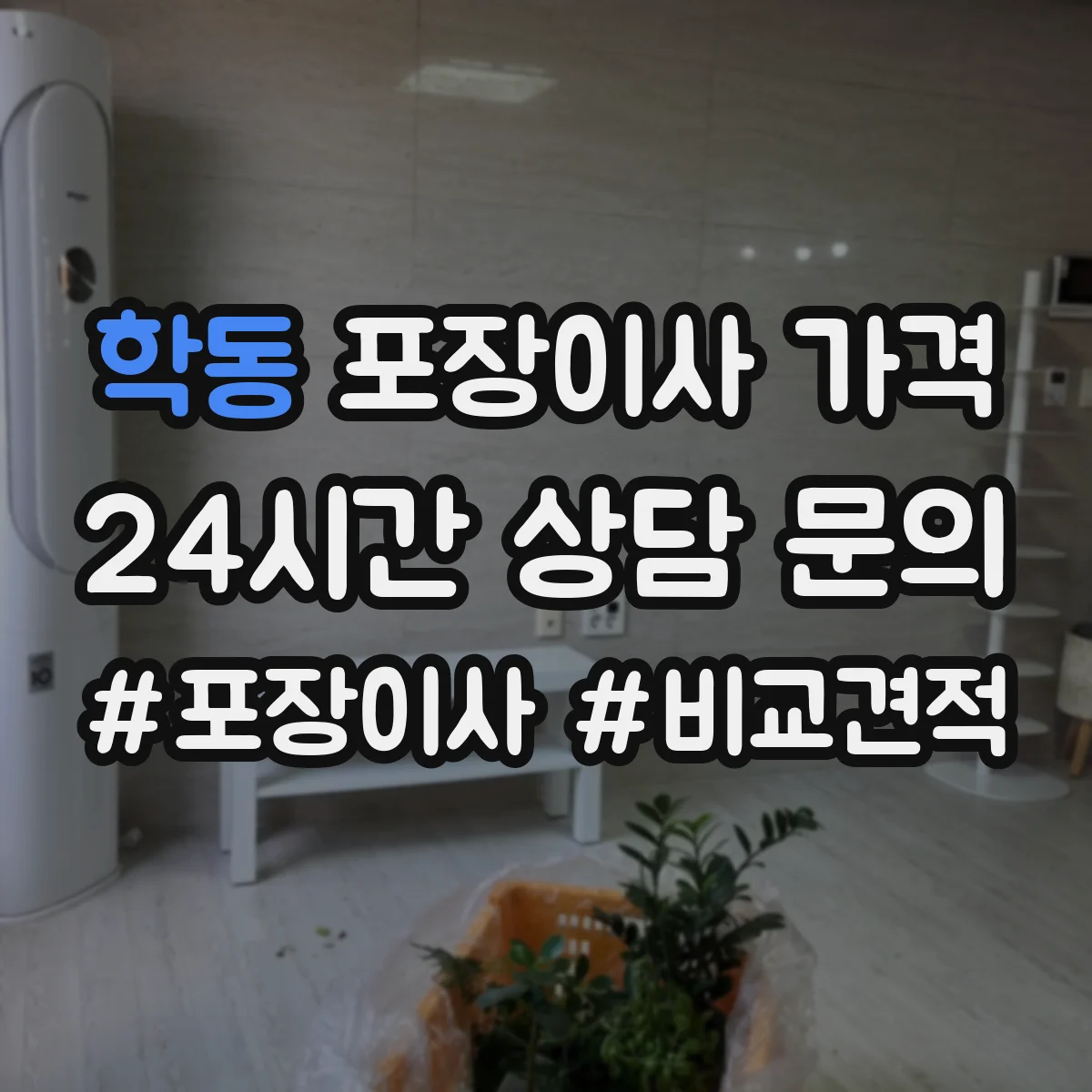 학동 포장이사 가격