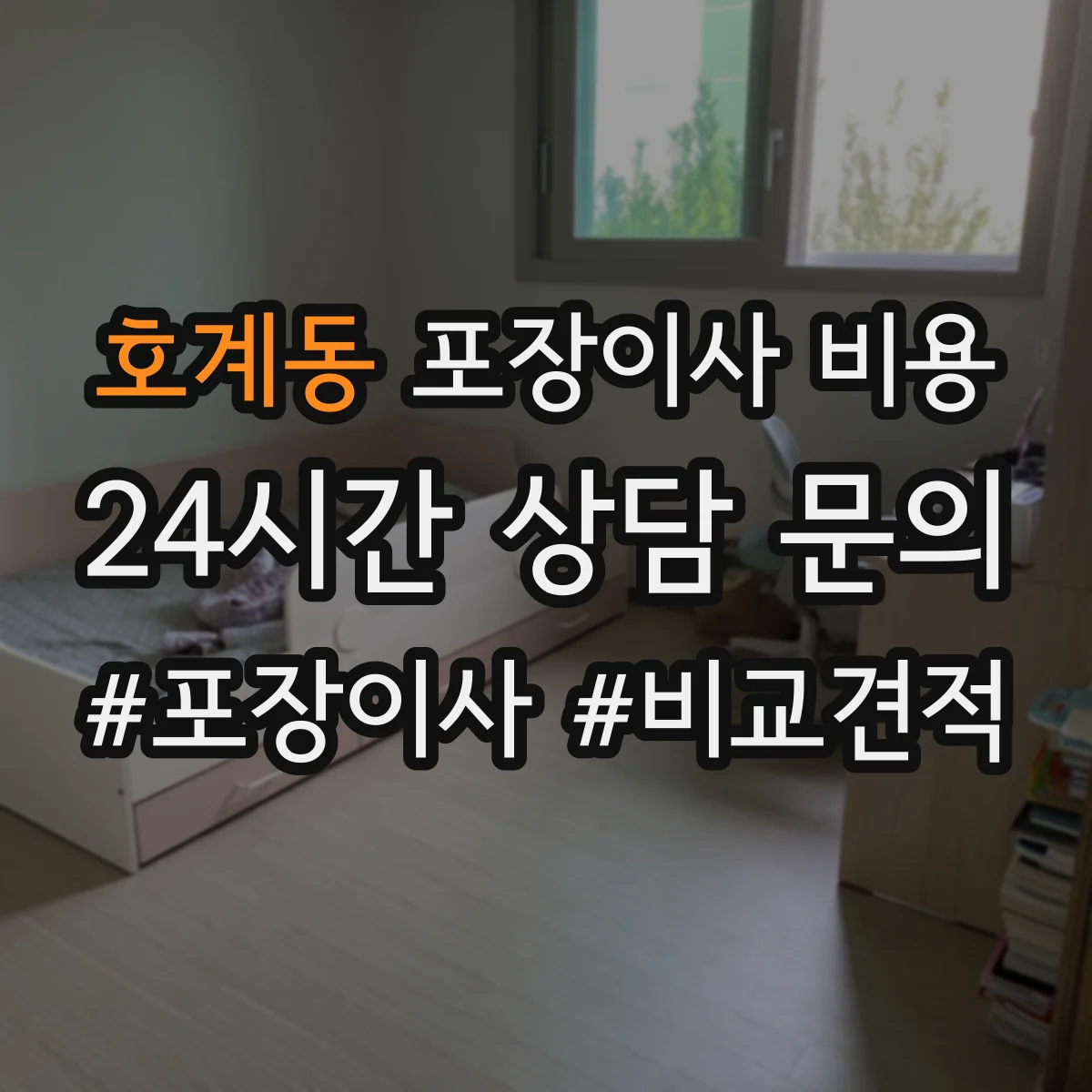 호계동 포장이사 비용
