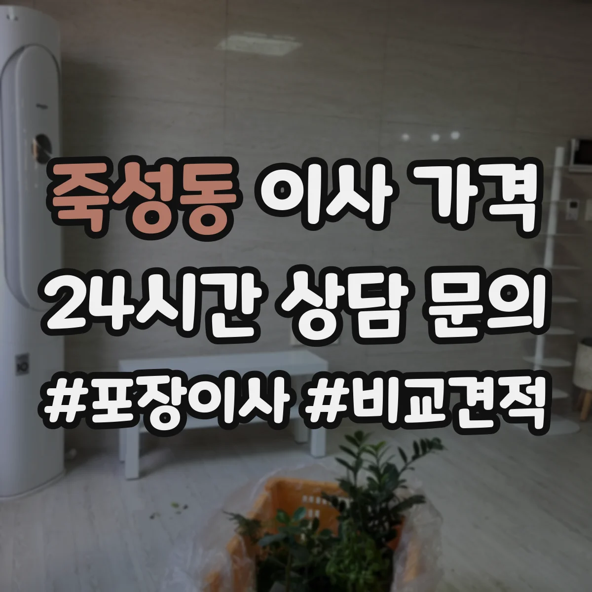 죽성동 이사 가격