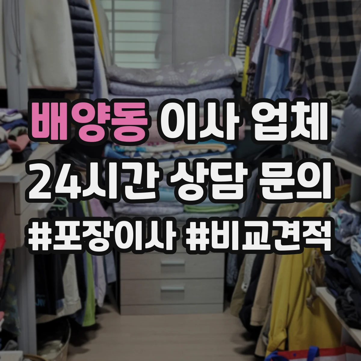 배양동 이사 업체