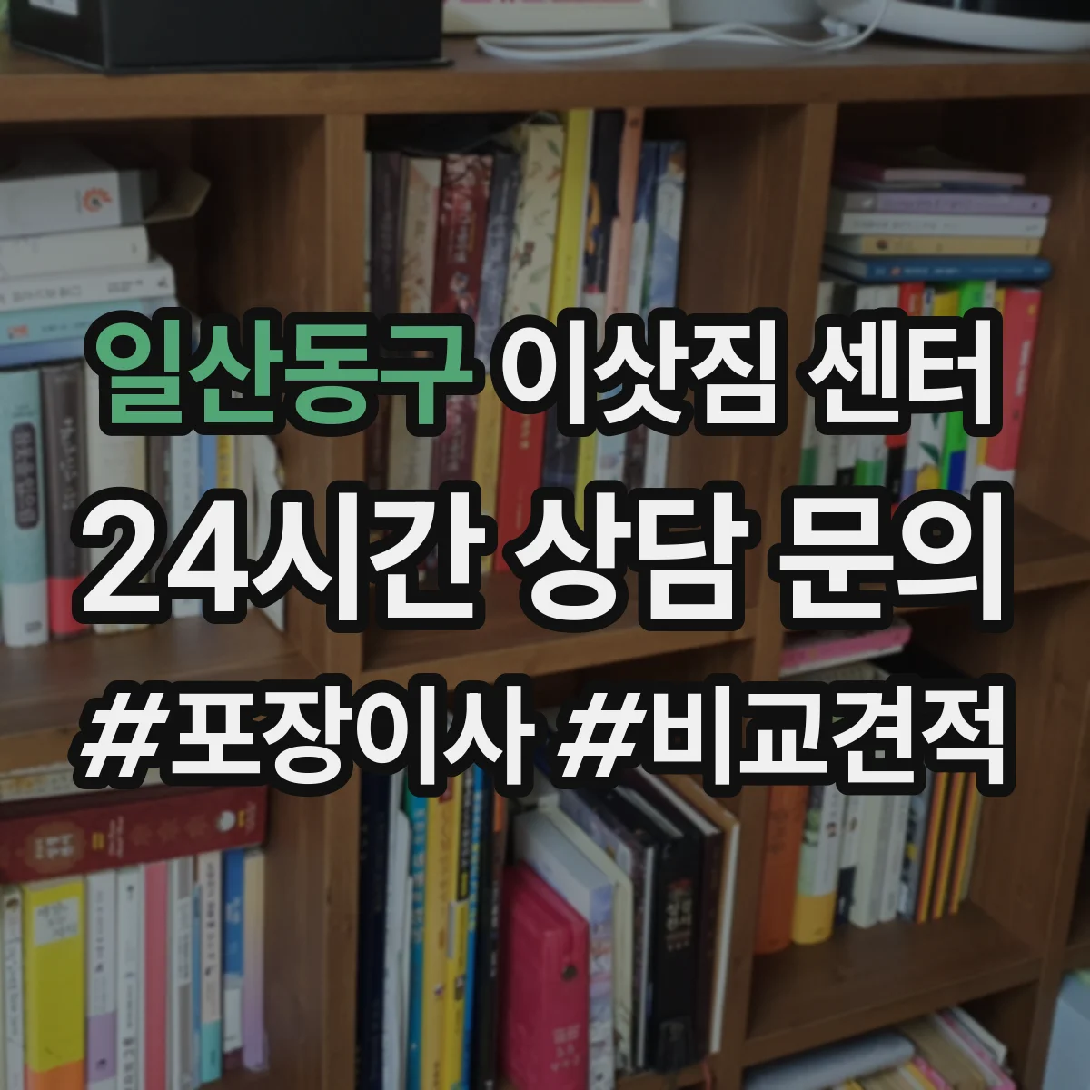 일산동구 이삿짐 센터