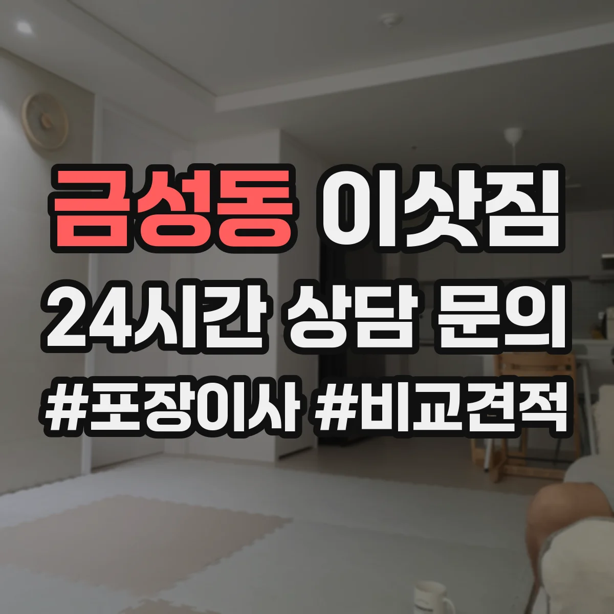 금성동 이삿짐