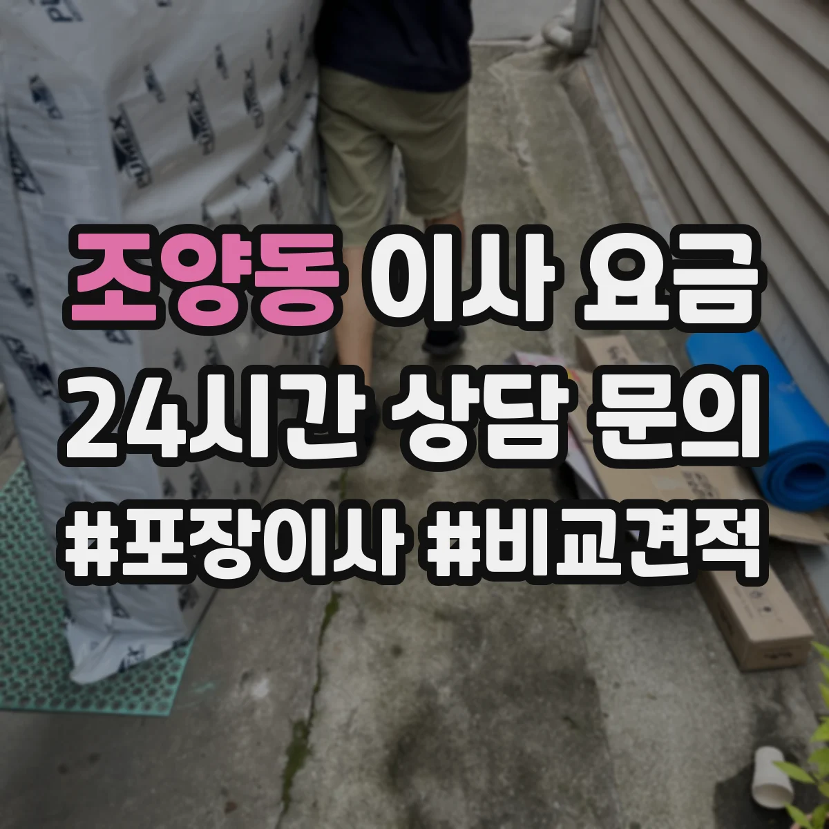조양동 이사 요금