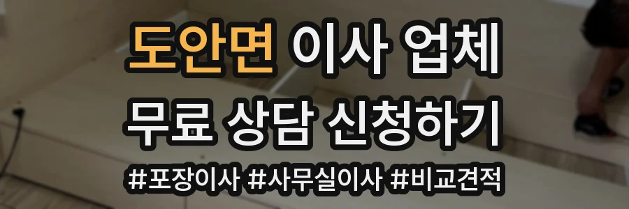 도안면 이사 업체