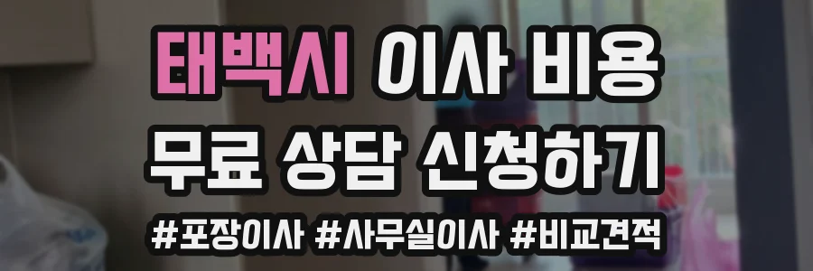 태백시 이사 비용
