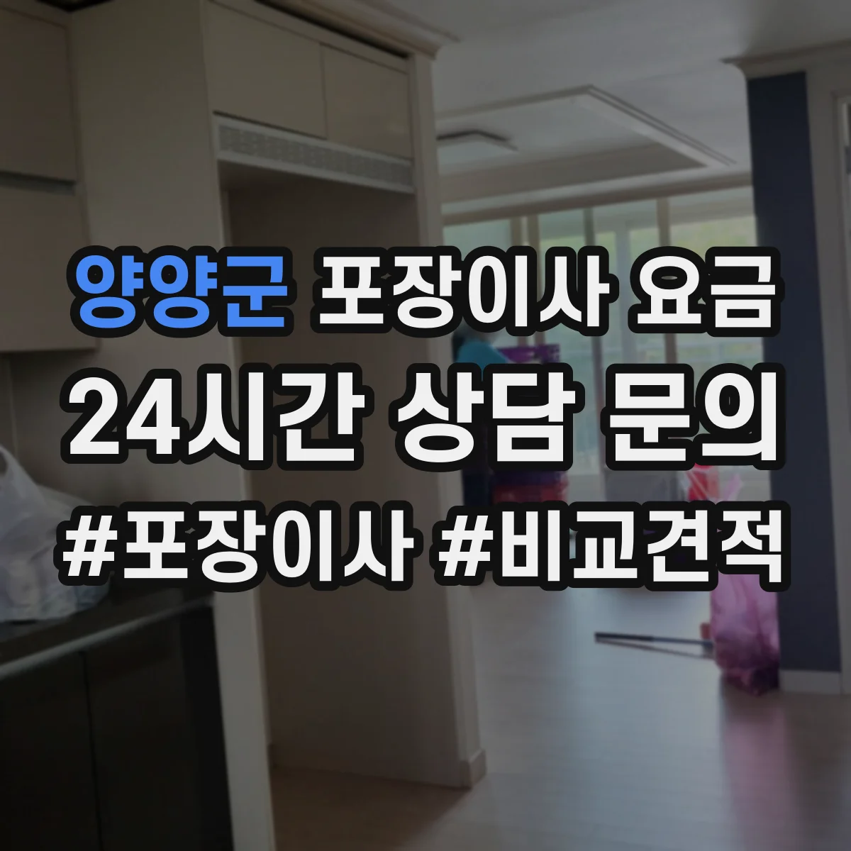 양양군 포장이사 요금
