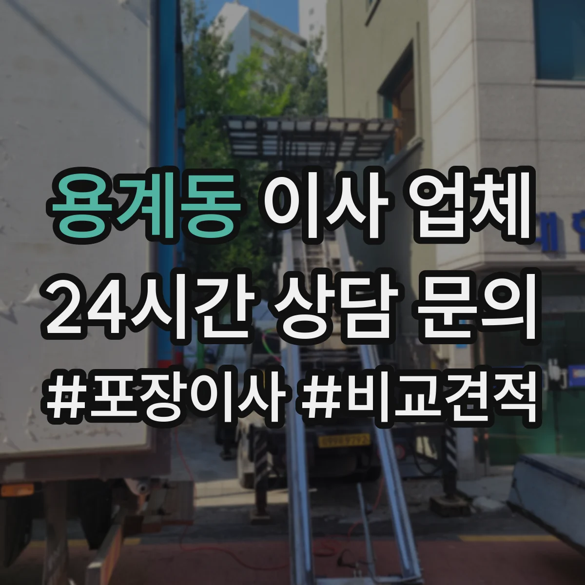 용계동 이사 업체
