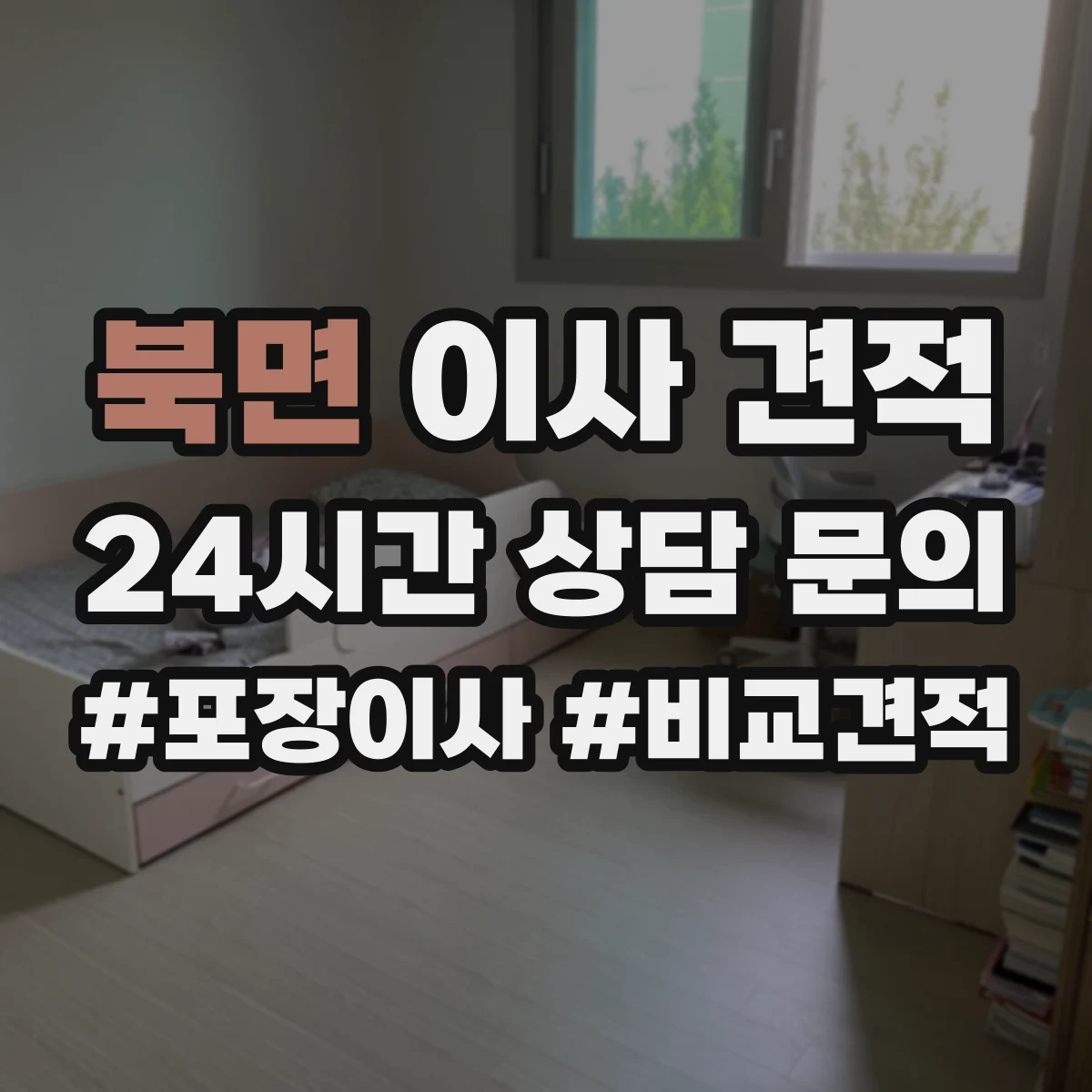 북면 이사 견적