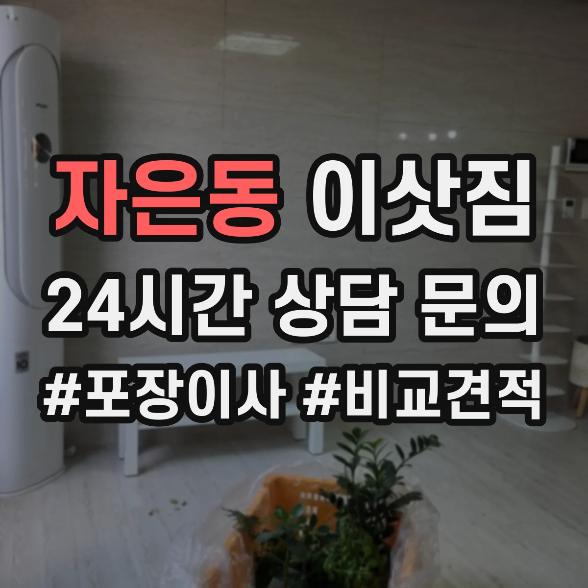 자은동 이삿짐