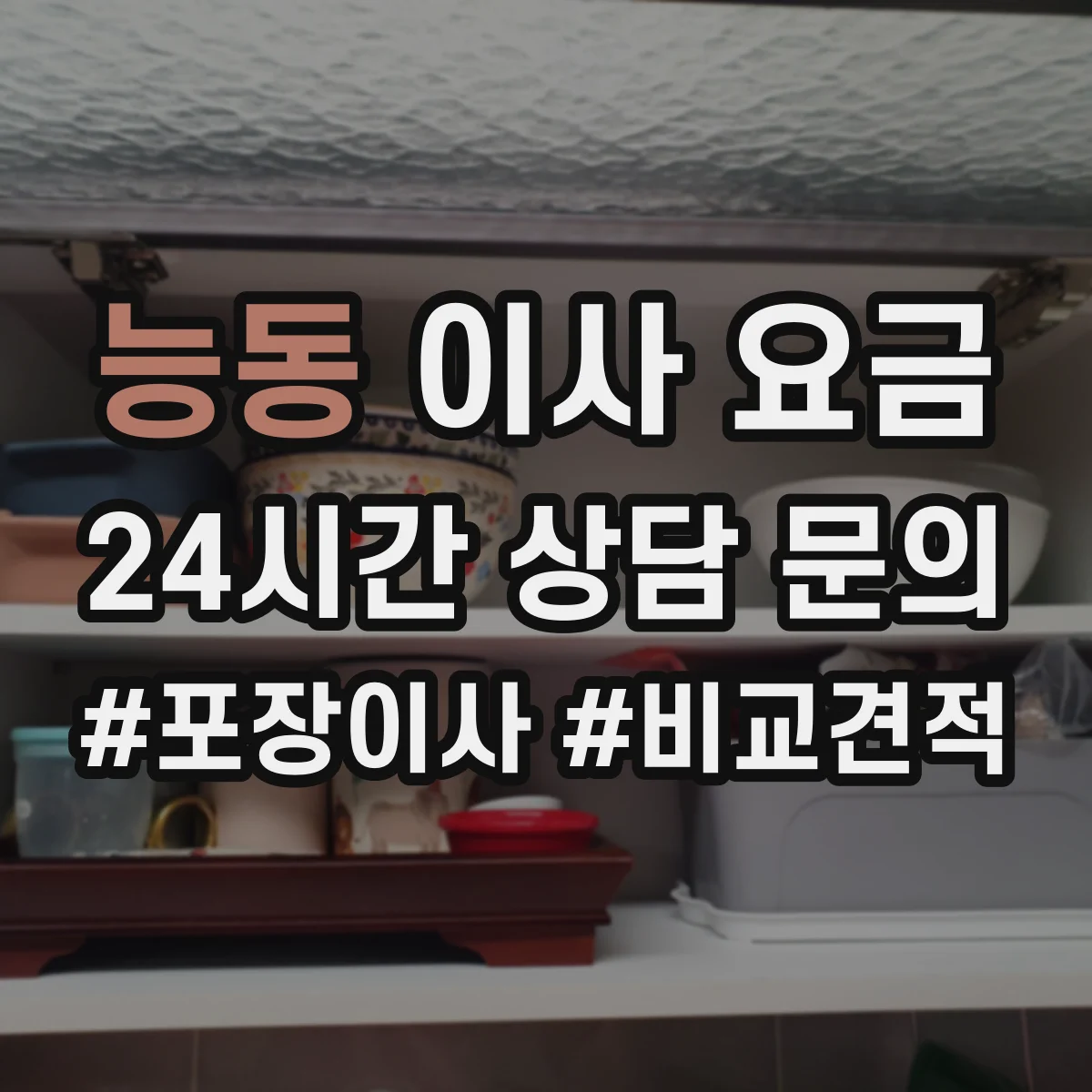 능동 이사 요금